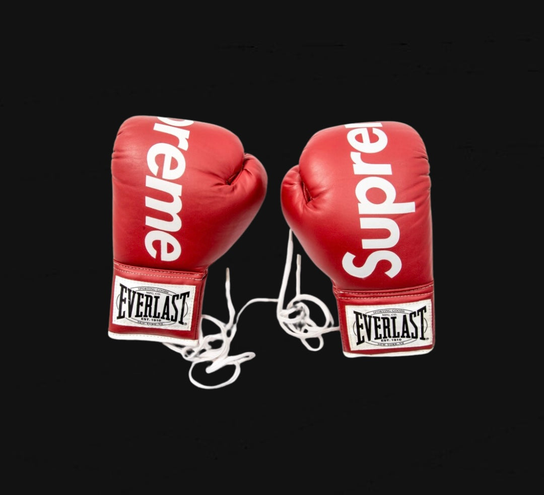 Supreme Everlast Boxing Gloves Red